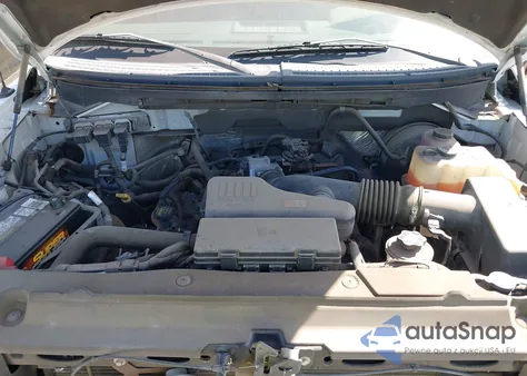 2009 Ford F150 from USA, damaged, VIN 1FTRF12W39KB05484